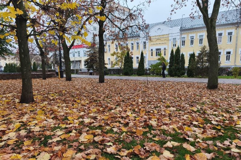 Погода в Тамбове: ноябрь улыбается сквозь облака и солнце