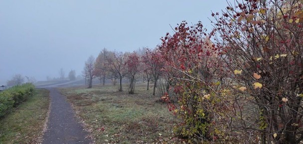 До +12 днём: синоптики о погоде в выходные в Тамбовской области