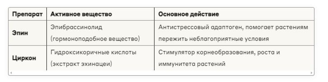 Эпин и Циркон: как выбрать правильный стимулятор роста для ваших растений?