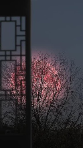 Вместо вечерней медитации