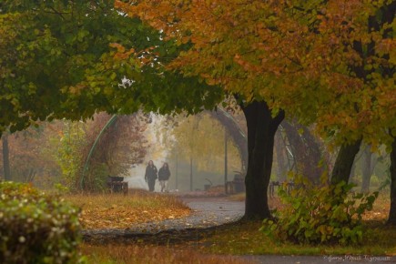 Хорошего вечера