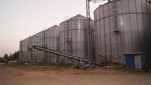 В Ржаксинском округе сотрудники сельхозорганизации похитили 60 тонн сои