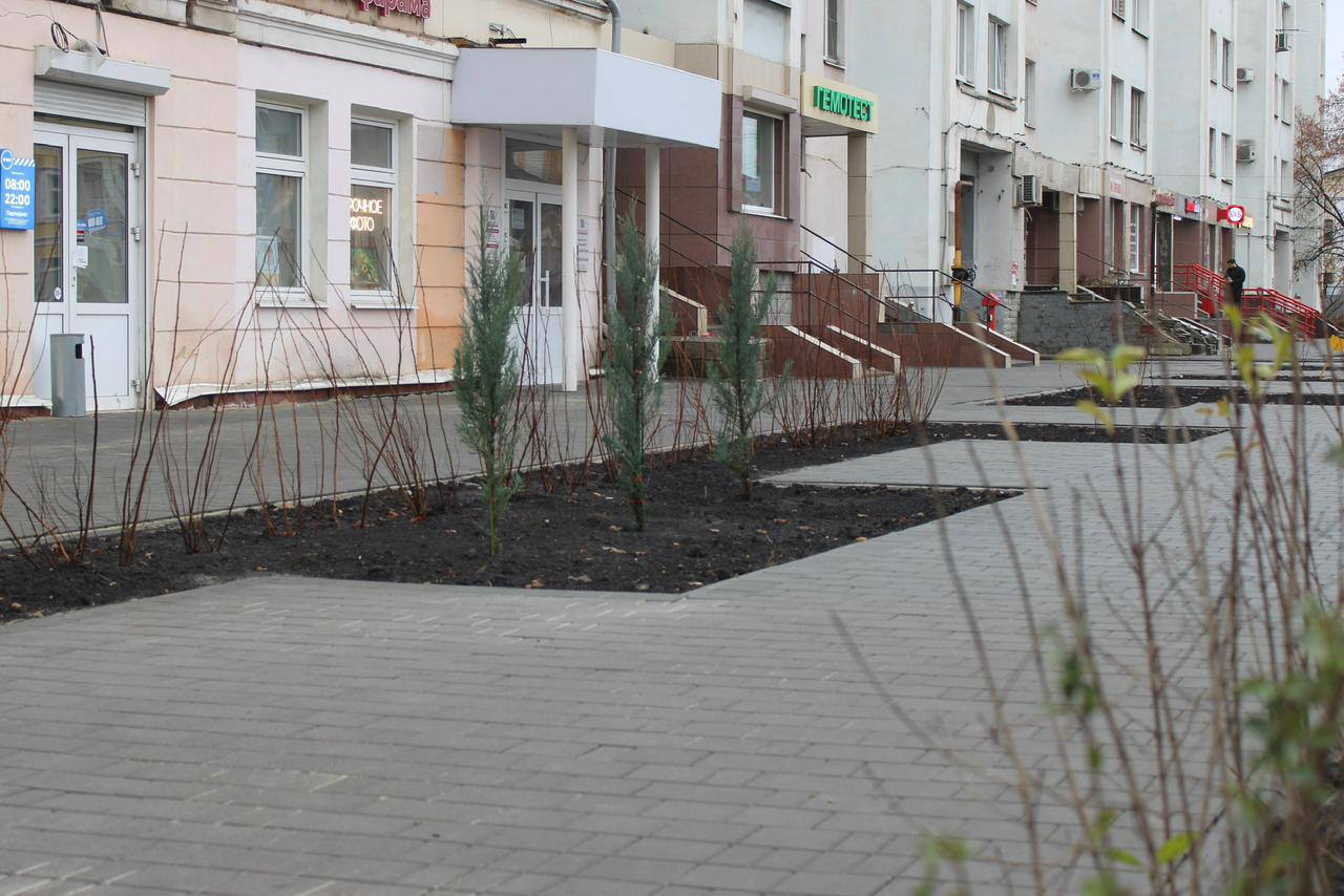 Озеленение нового общественного пространства по улице Октябрьской завершено Озеленение нового общественного пространства по улице Октябрьской завершено