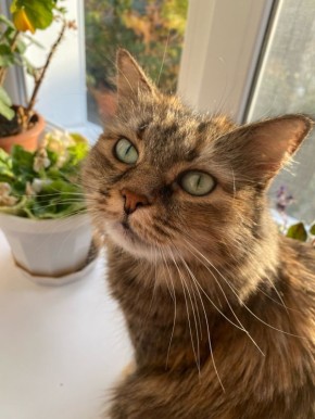  &quot;  &quot;.       &quot;&quot;  - ,   