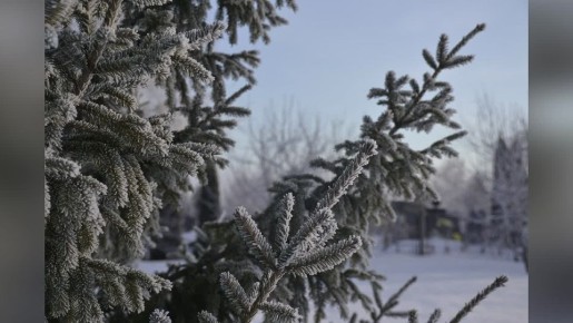 Доброе утро, Тамбовская область!