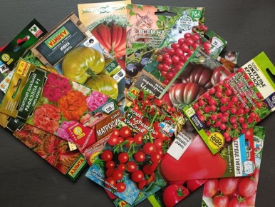 Секреты экономии на семенах: как с умом выбрать посевной материал