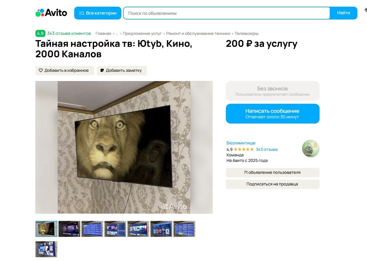 Топ необычных объявлений в регионе: от продажи бурундука до тайной настройки телевизора Топ необычных объявлений в регионе: от продажи бурундука до тайной настройки телевизора