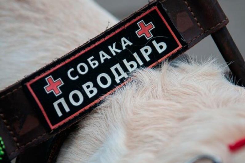 Мир на кончиках пальцев: как в Тамбове незрячие учатся жить заново Мир на кончиках пальцев: как в Тамбове незрячие учатся жить заново