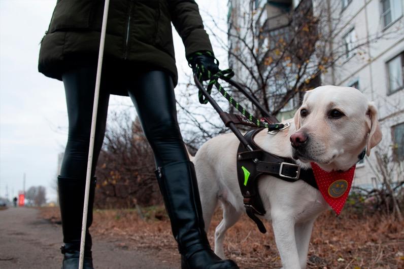 Мир на кончиках пальцев: как в Тамбове незрячие учатся жить заново Мир на кончиках пальцев: как в Тамбове незрячие учатся жить заново