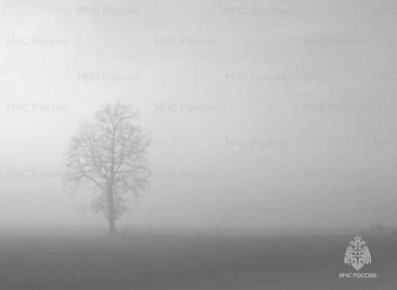  .       1-3 ,   ,        200-500 