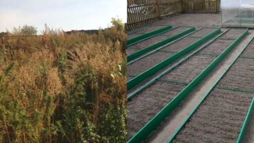 Как за две недели преобразить запущенный участок и удивить соседей