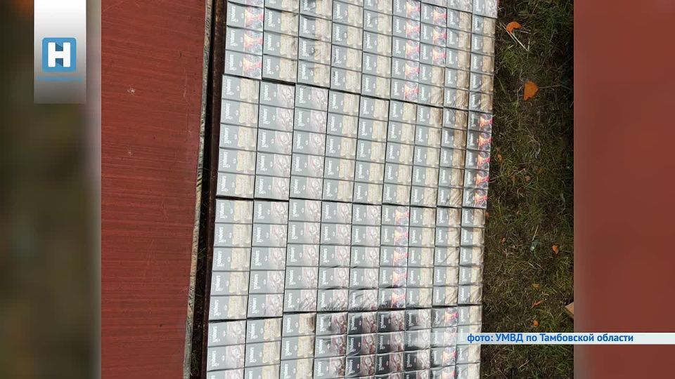 В Тамбовской области полицейские изъяли 12 тысяч пачек контрафактных сигарет