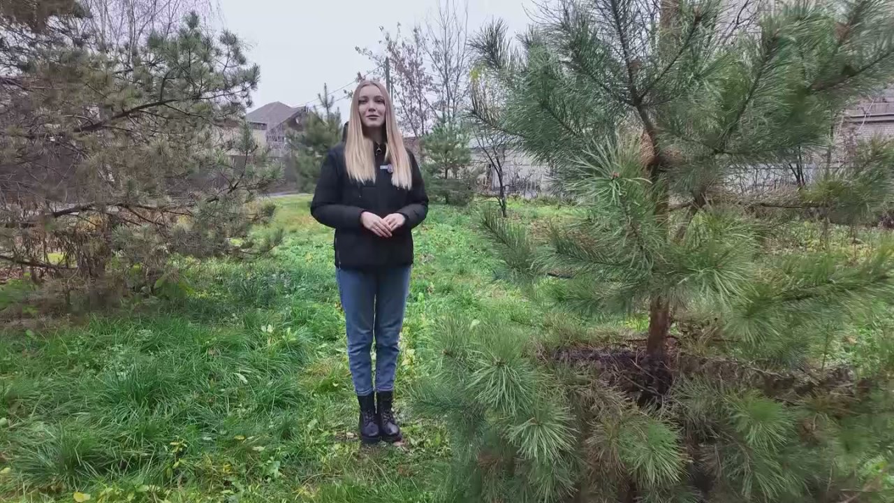 Полина Анциферова представляет афишу на выходные