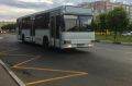 В Тамбове за месяц приняли шесть новых водителей общественного транспорта