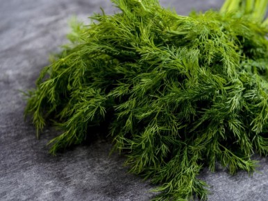 Выращивание зелени на подоконнике: легко и стильно