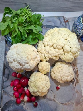 Урожай свежих овощей в ноябре?!