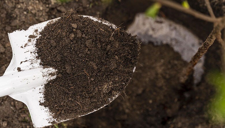 Садоводам Тамбовской области рассказали, какие удобрения нельзя вносить осенью