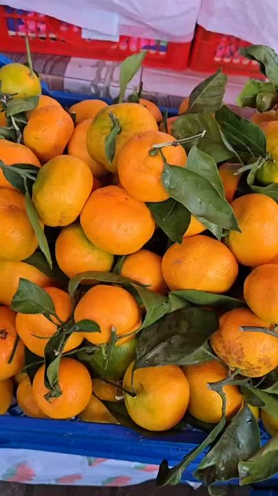 Какие фрукты и ягоды добавить в рацион в ноябре, напомнили специалисты Роспотребнадзора