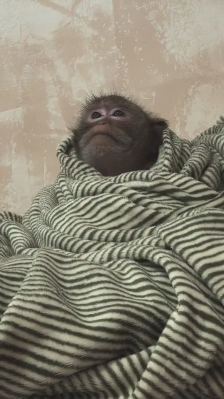 Ловим дзен в воскресное утро