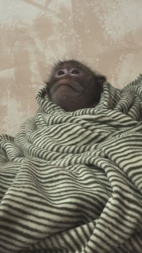 Ловим дзен в воскресное утро