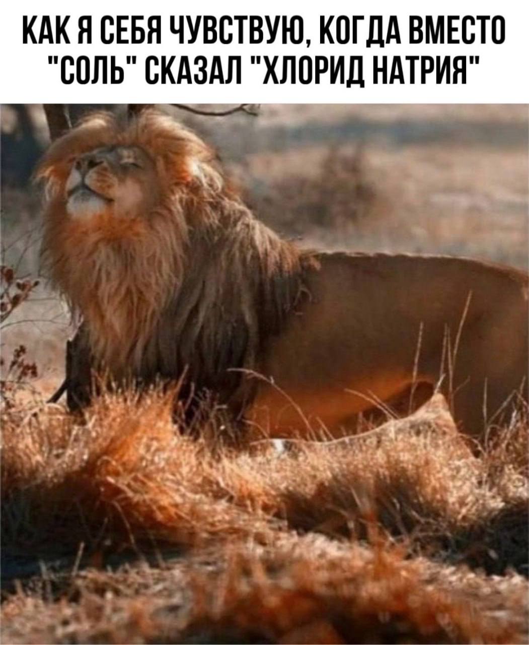 Между нами случится химия. Реакция произойдет уже в следующую среду на авторской лекции «Самая важная наука» (по версии Рухова А.В.)