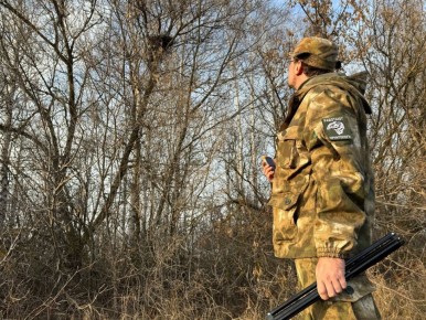 Сотрудники “Русского сокола” актуализируют данные о популяциях сапсана и балобана в округах Тамбовщины