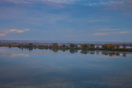 Хорошего вечера. Анна Подгорнова/ВК "Природа Тамбова /Охота на фото"