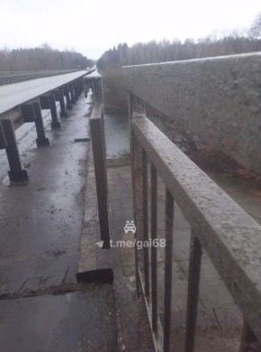 Специалисты из Воронежа и Москвы займутся аварийным мостом в Кирсановском округе