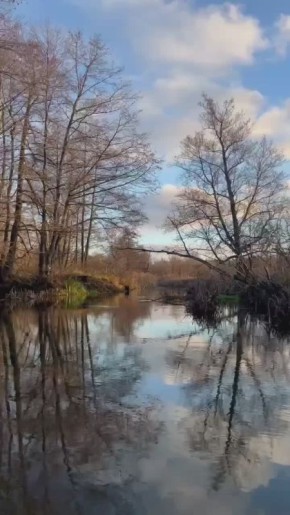 Вместо вечерней медитации. Закат на реке Вяжля тг-канал "Люди Вороны"