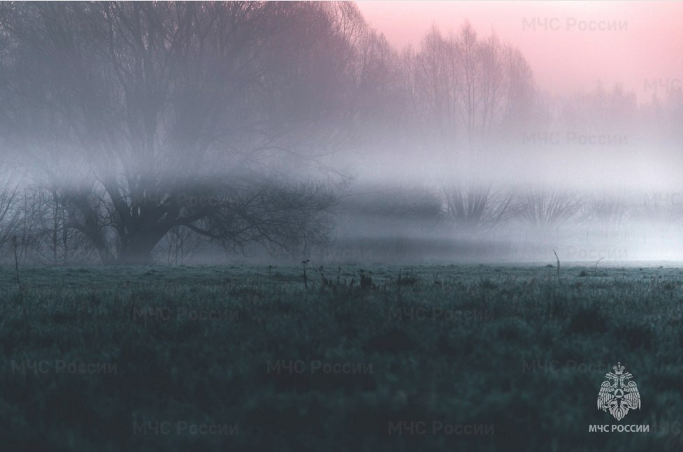 Ожидаются туман и порывы ветра