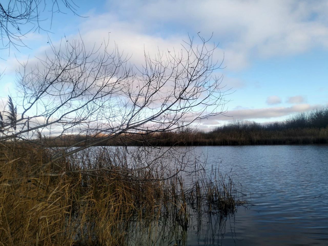 В пруду «Кутыровский» в Мучкапском округе утонул 50-летний рыбак