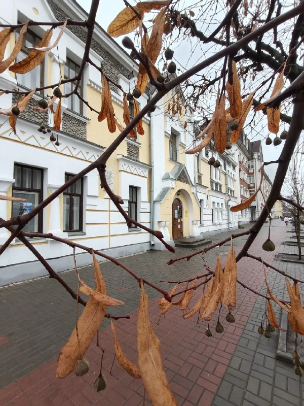 Доброе утро, любимый Тамбов! Всех с началом новой рабочей недели!