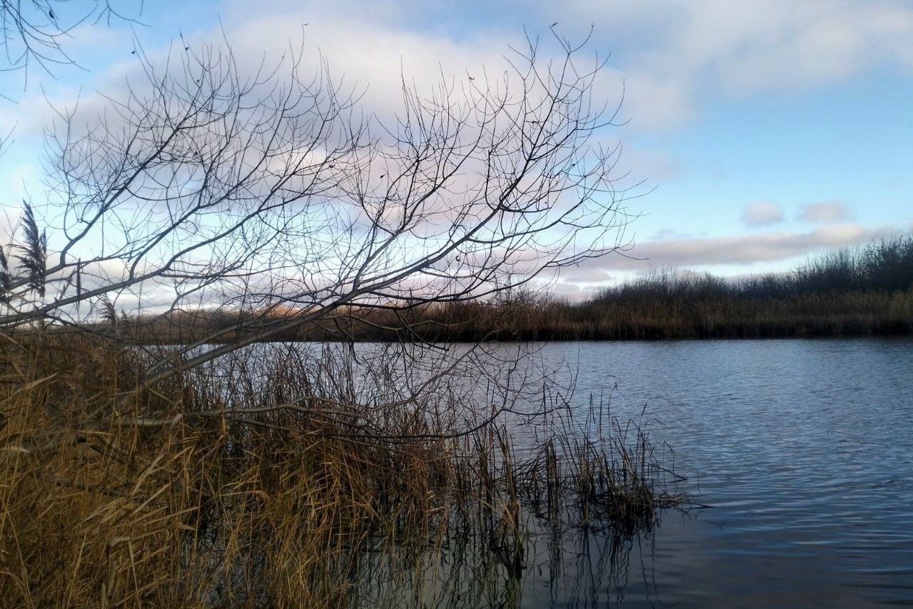 В Мучкапском округе два рыбака перевернулись на лодке: одного мужчину спасти не удалось В Мучкапском округе два рыбака перевернулись на лодке: одного мужчину спасти не удалось