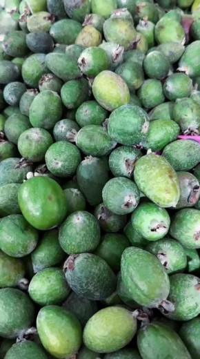 Фейхоа — это зелёный тропический плод с кисло-сладким вкусом и ароматом, напоминающим сочетание земляники, ананаса и киви