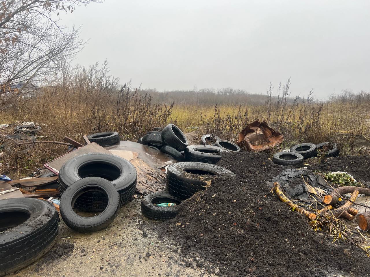 В Тамбове планируют рекультивировать свалку вдоль улицы Авиационной