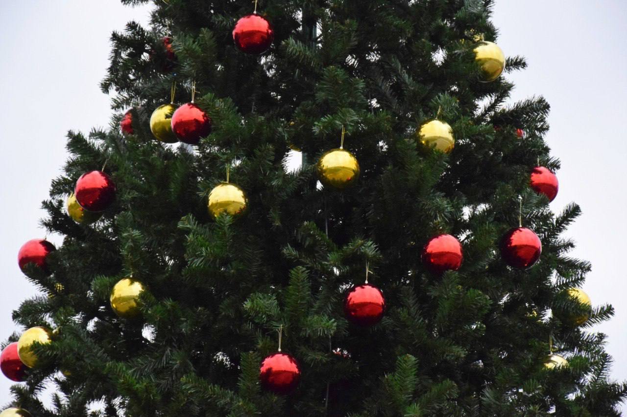 Новогодние украшения начали появляться на улицах и площадях Тамбова Новогодние украшения начали появляться на улицах и площадях Тамбова