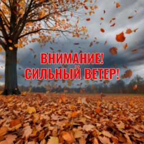 Экстренное предупреждение от РСЧС