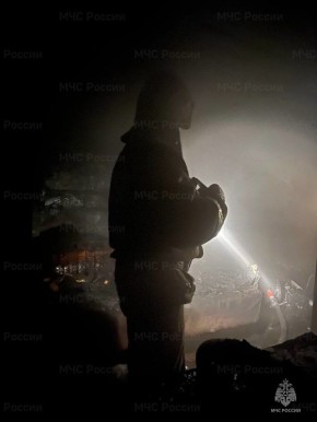 Пожар в Рассказовском округе унёс жизнь 57-летнего мужчины