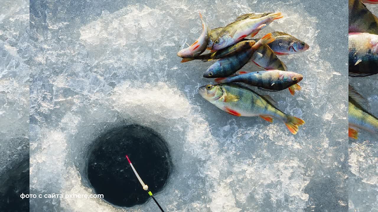 Доброе утро, Тамбовская область!