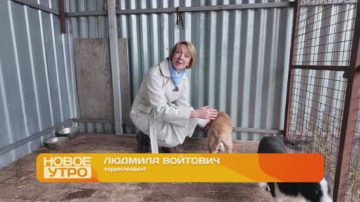 Пост добра в "Новом утре": Дуся и Фрося ищут дом