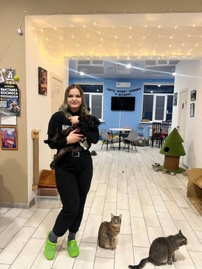 Хорошие новости!. Кошка Митико из котокафе в Тамбове обрела дом