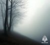 Ожидается туман. По данным Тамбовского ЦГМС 20 ноября на территории Тамбовской области ночью и утром местами ожидается туман МЧС России рекомендует: