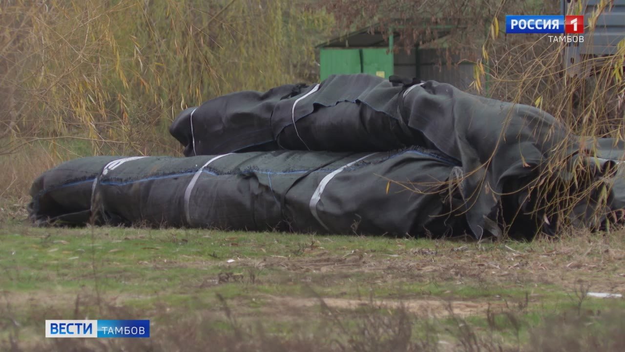 В Тамбове продолжают расчистку Цны по нацпроекту «Экологическое благополучие»