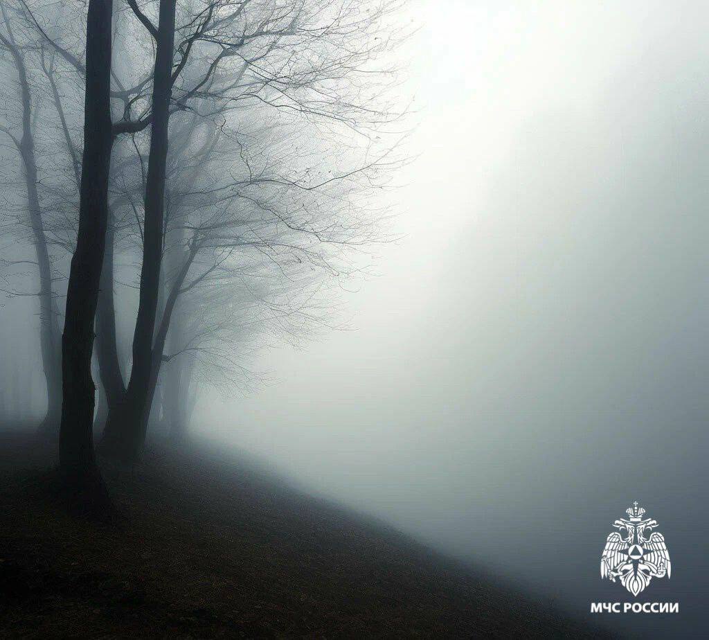 Прогнозируется туман. По данным Тамбовской ЦГМС 23 ноября на территории Тамбовской области ночью и утром местами ожидается туман МЧС России рекомендует: