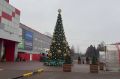 У "Ашана" установили новогоднюю ёлку
