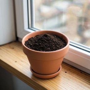 Как вдохнуть новую жизнь в старую почву ваших комнатных растений