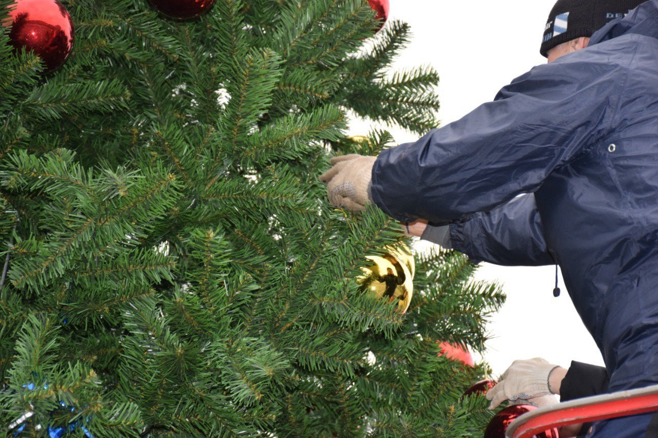 В ближайшие дни на улицах Тамбова появится праздничная новогодняя иллюминация В ближайшие дни на улицах Тамбова появится праздничная новогодняя иллюминация