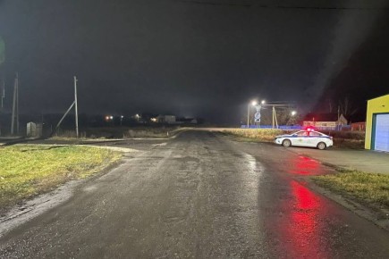 23   17  50     37      ,    ,  1956  ,    ,  1988  ,   ...