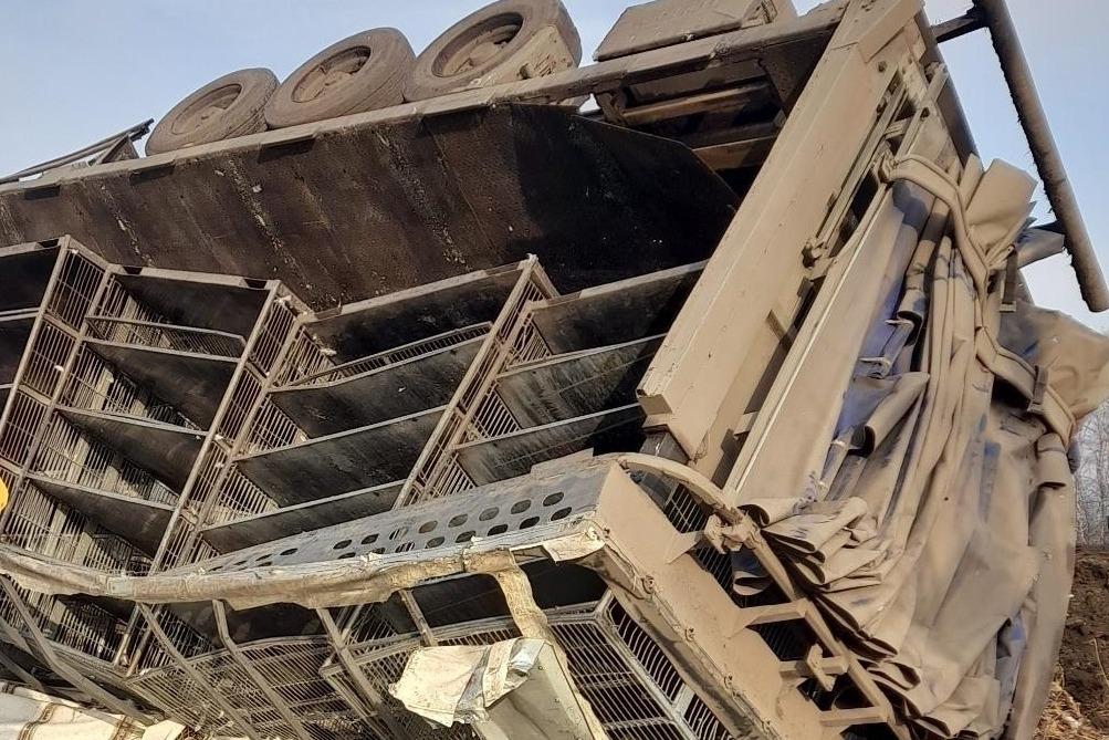 В Первомайском округе перевернулся грузовик: есть пострадавший В Первомайском округе перевернулся грузовик: есть пострадавший