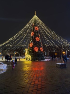 Новые ёлки в этом году появятся у «Кристалла» и в парке Победы